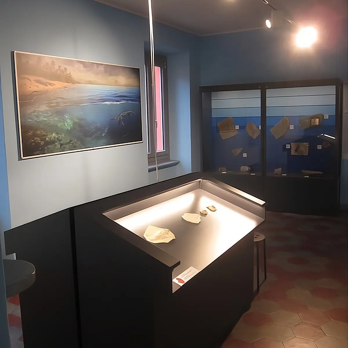 Interno del Museo Civico dei Fossili di Besano